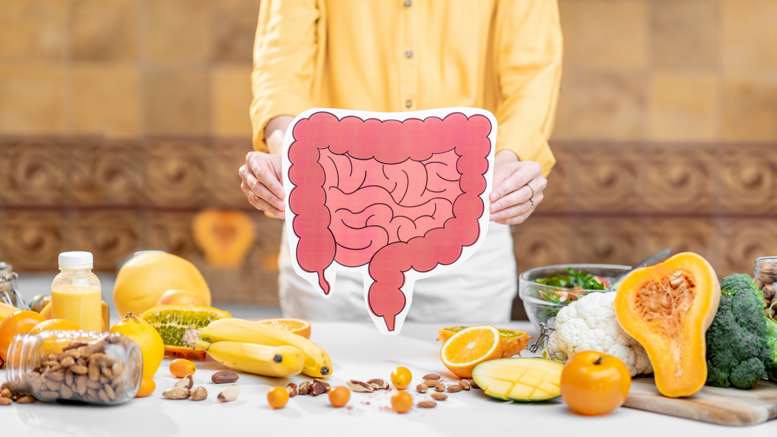 How Gut Health Affects Your Immune System